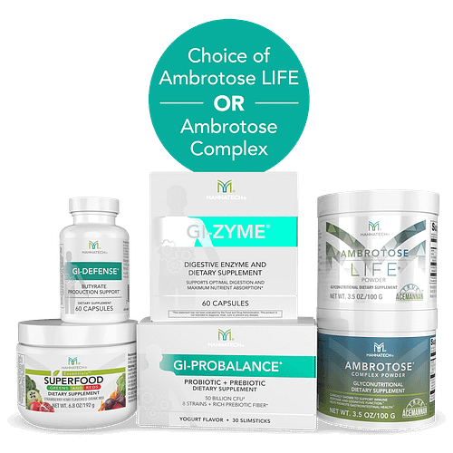 The Foundation Transformation: Support your gut health, boost your immune system, and enhance your overall vitality